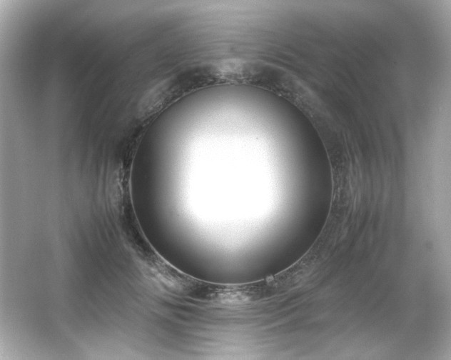 X0000066520702200603171218