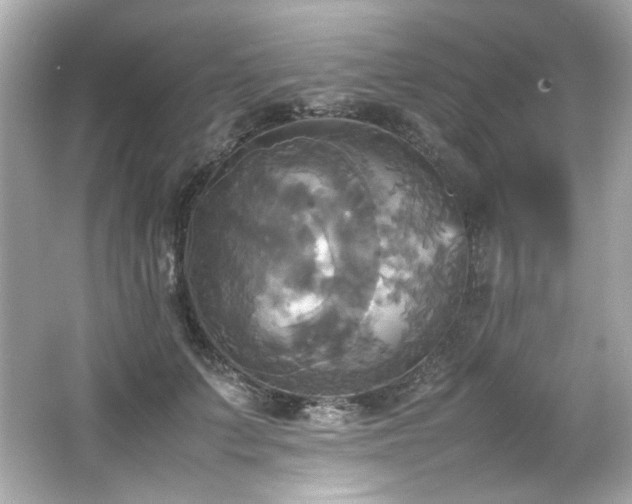 X0000066520703200603171218