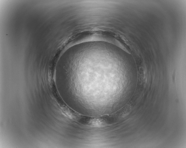 X0000066520704200603171218