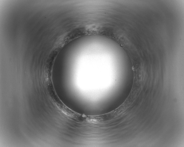 X0000066520706200603171218