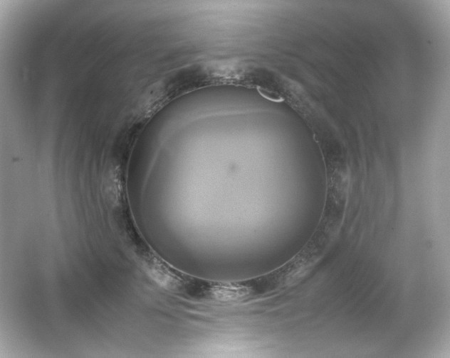 X0000066520707200603171218