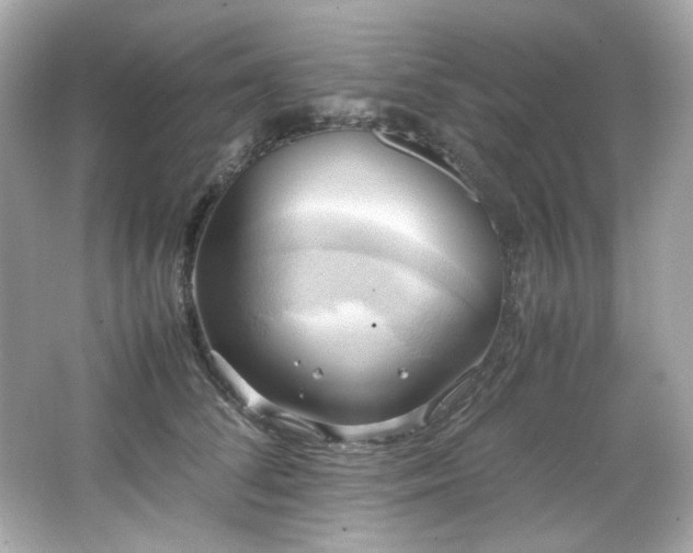 X0000066520708200603171218