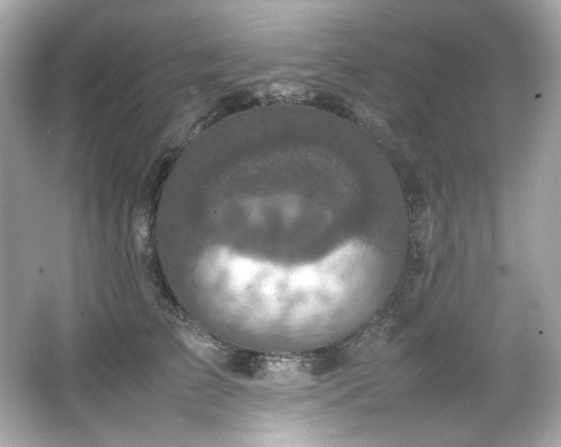 X0000066520709200603171218