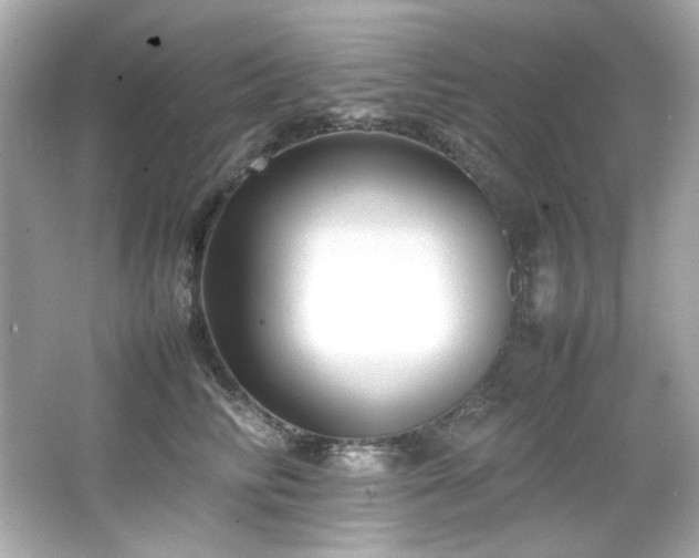 X0000066520710200603171218