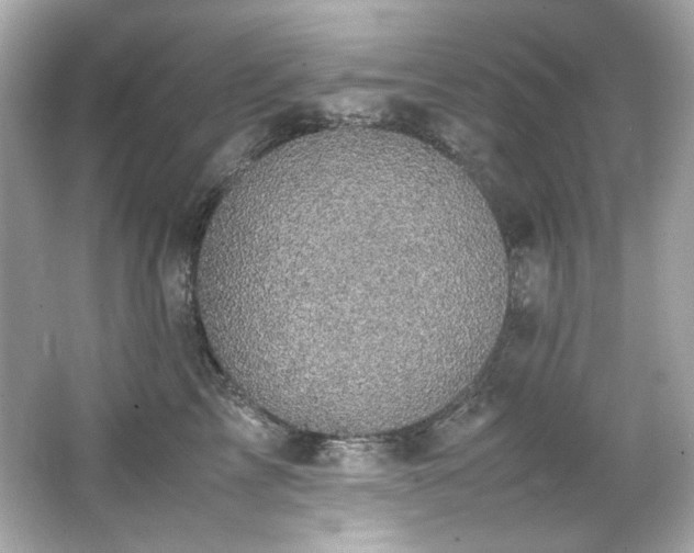 X0000066520713200603171218