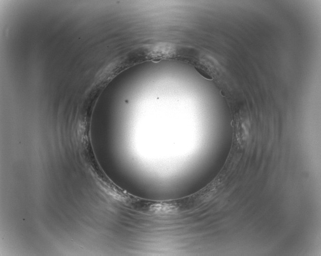 X0000066520714200603171218