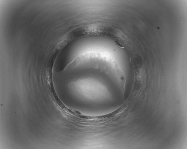 X0000066520715200603171218