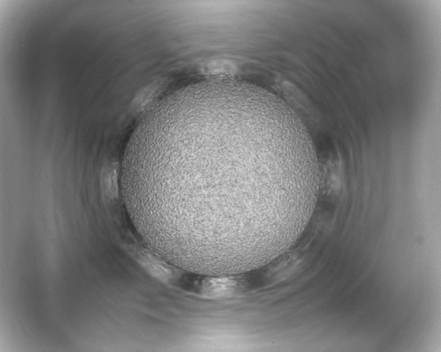 X0000066520717200603171218