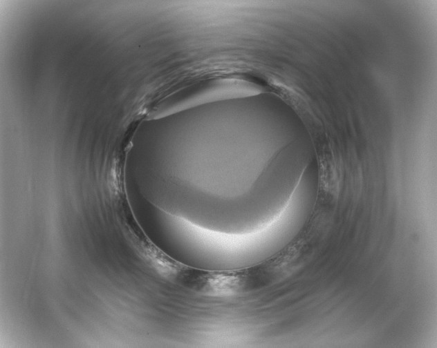 X0000066520718200603171218