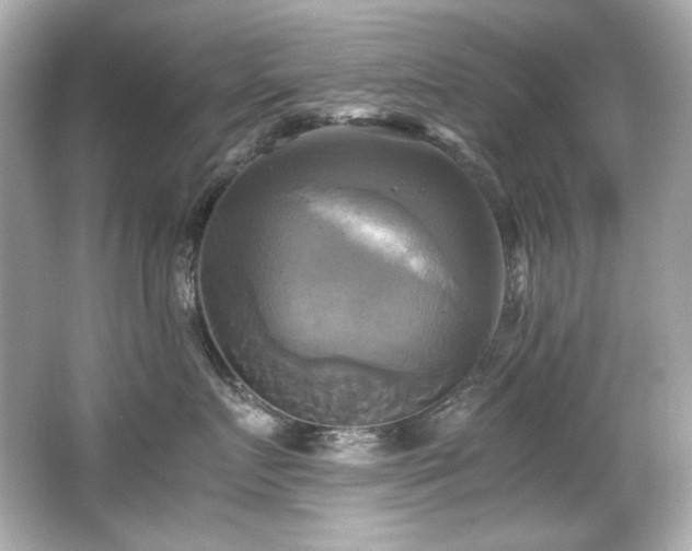 X0000066520719200603171218