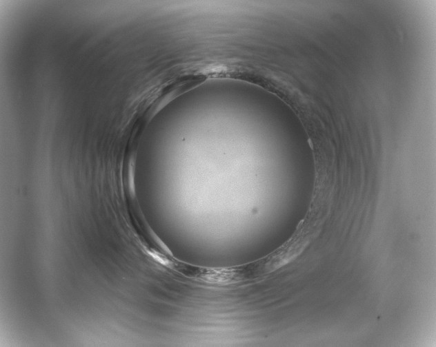 X0000066520720200603171218