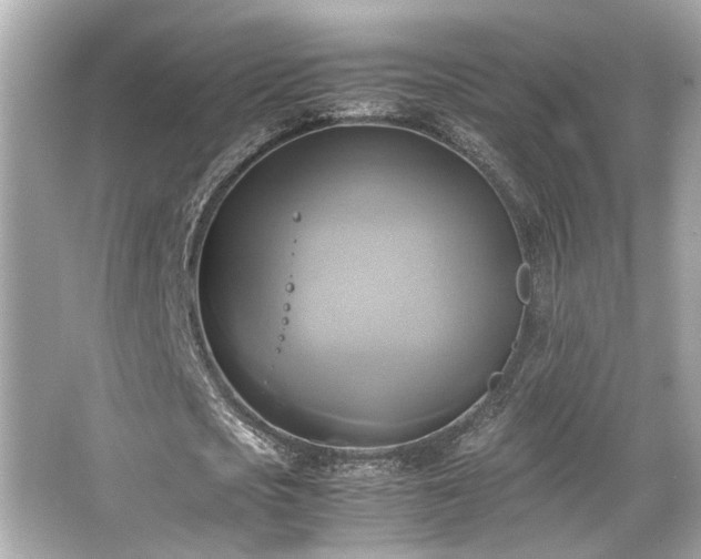 X0000066520721200603171217