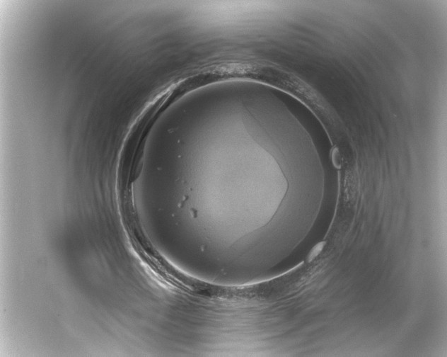 X0000066520722200603171217