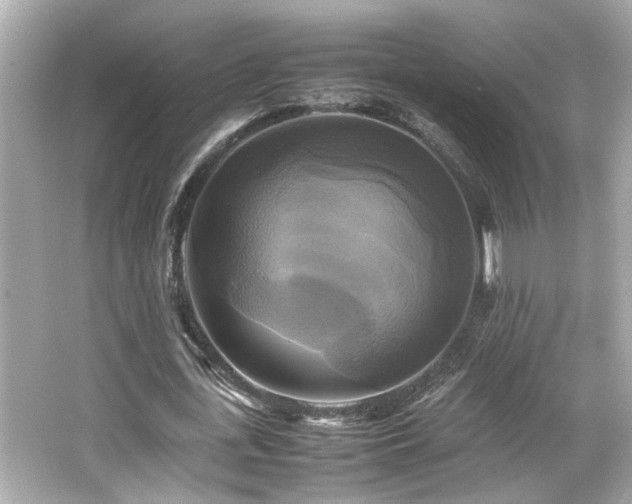 X0000066520723200603171217