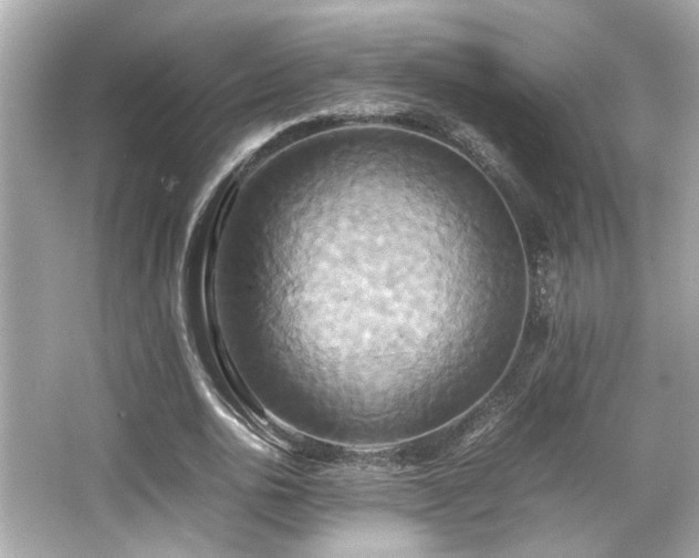 X0000066520726200603171217