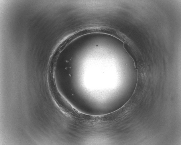 X0000066520728200603171217