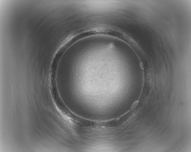 X0000066520730200603171217