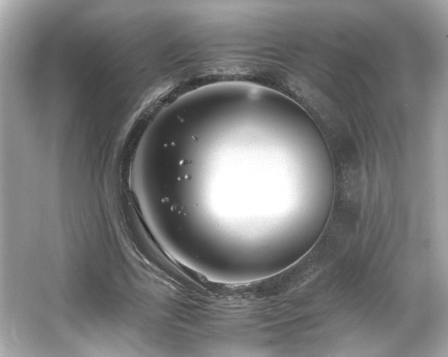 X0000066520731200603171217