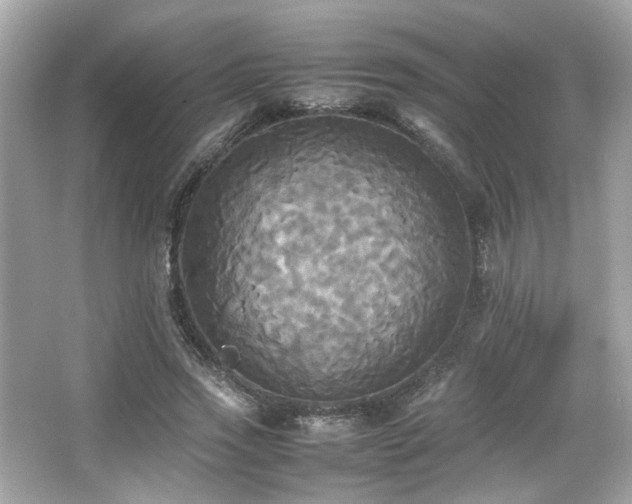 X0000066520733200603171217