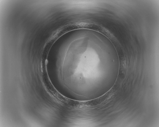 X0000066520734200603171217