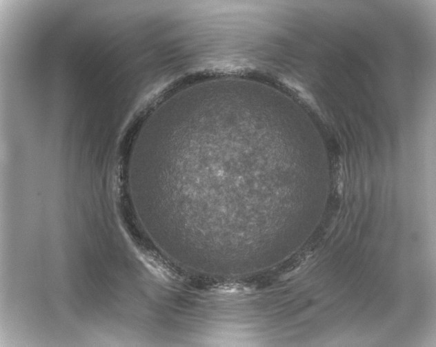 X0000066520736200603171217