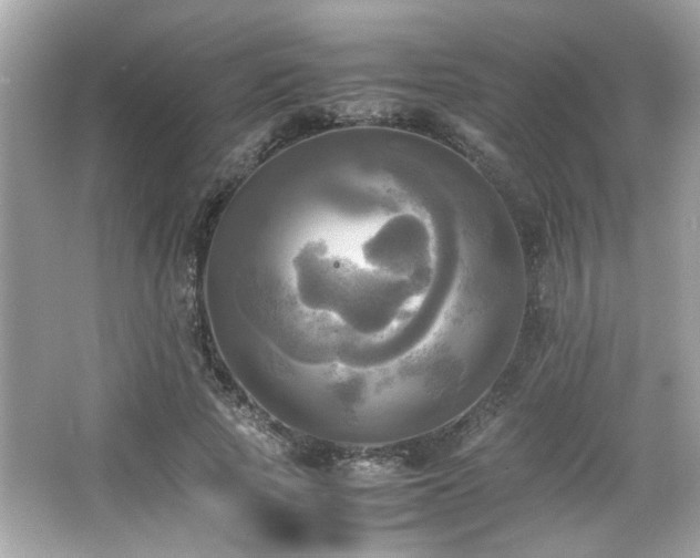 X0000066520737200603171217