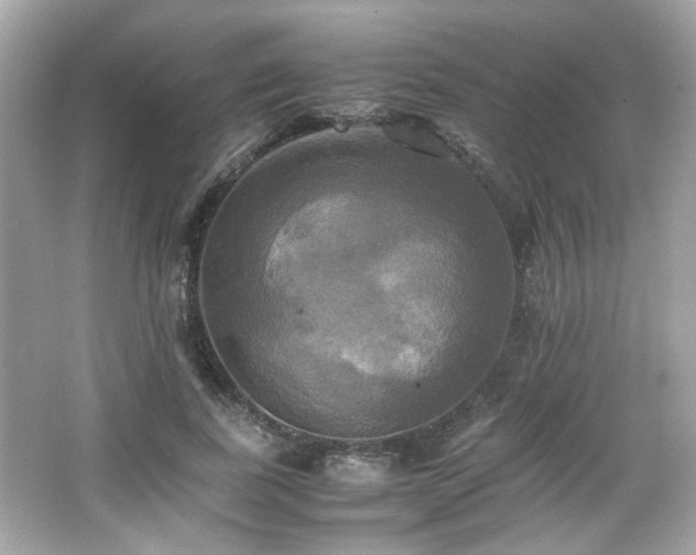 X0000066520739200603171217