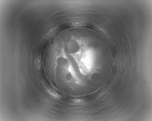 X0000066520741200603171218