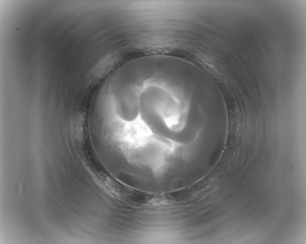 X0000066520742200603171218