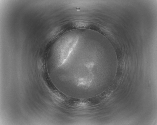 X0000066520743200603171218