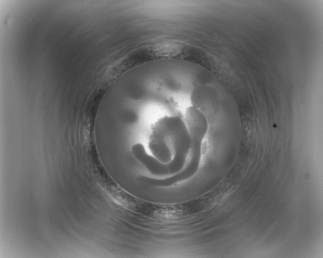 X0000066520745200603171218