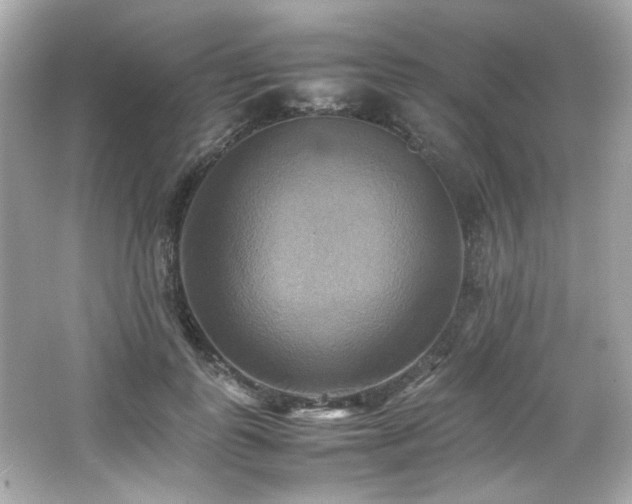 X0000066520747200603171218