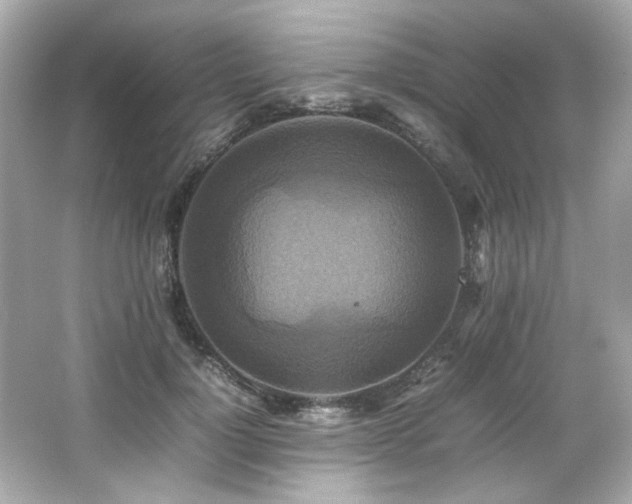 X0000066520748200603171218