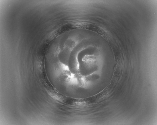 X0000066520749200603171218