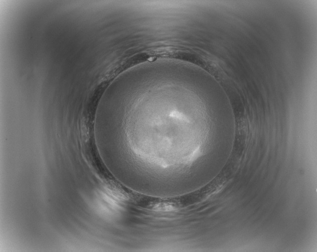 X0000066520751200603171218