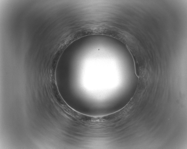 X0000066520752200603171218