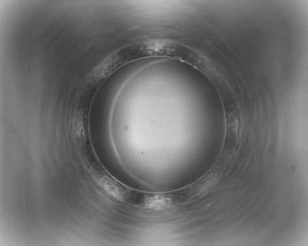 X0000066520754200603171218