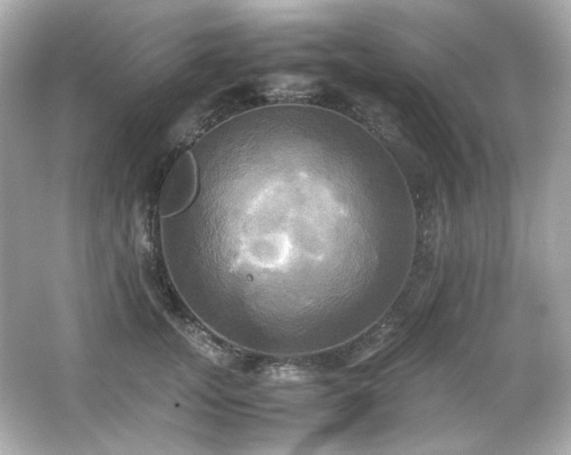 X0000066520755200603171218