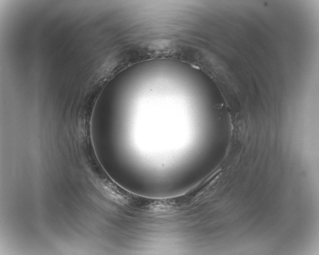 X0000066520756200603171218