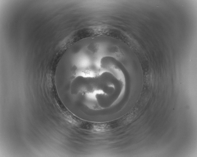 X0000066520757200603171218