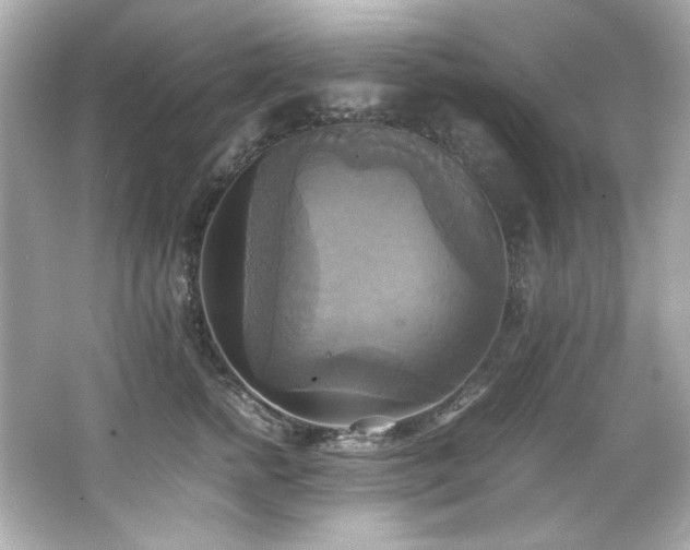 X0000066520758200603171218