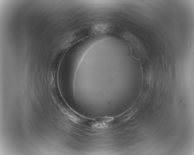 X0000066520759200603171218