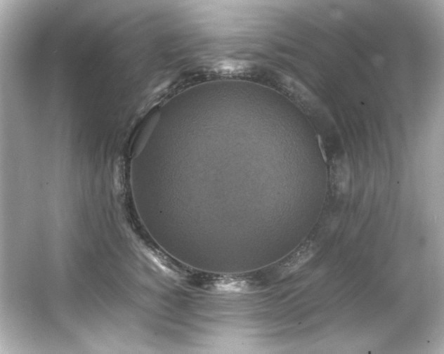 X0000066520760200603171218