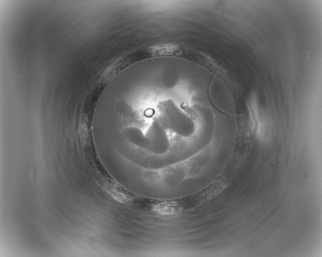 X0000066520761200603171218