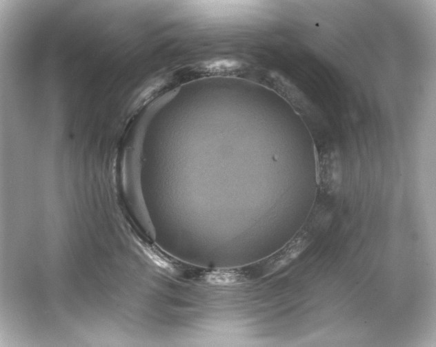 X0000066520762200603171218