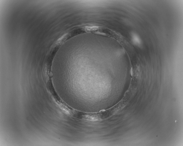 X0000066520763200603171218