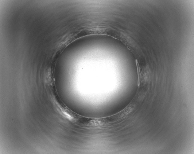 X0000066520764200603171218