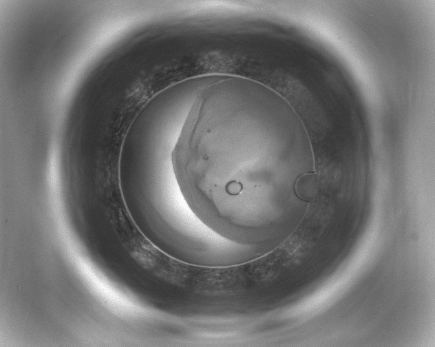 X0000066520765200603171218