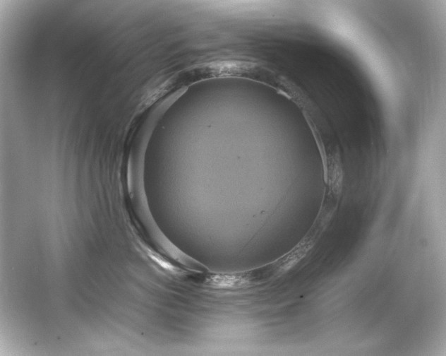 X0000066520766200603171218