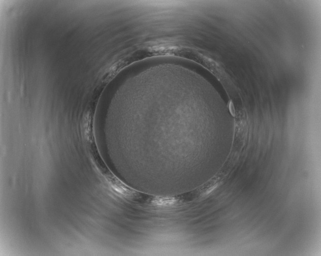 X0000066520767200603171218